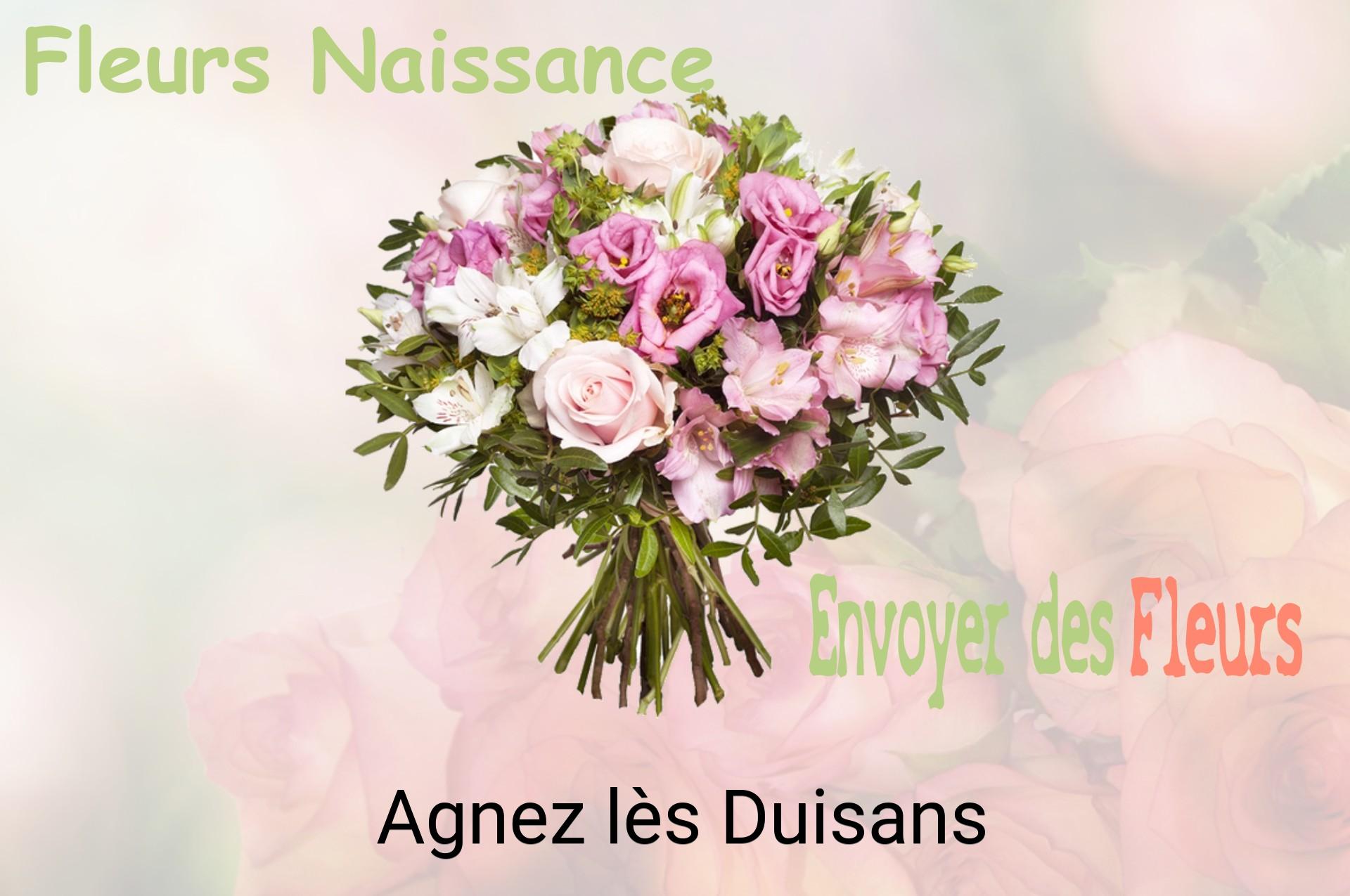 Bouquet de fleurs de naissance livré à Agnez-lès-Duisans