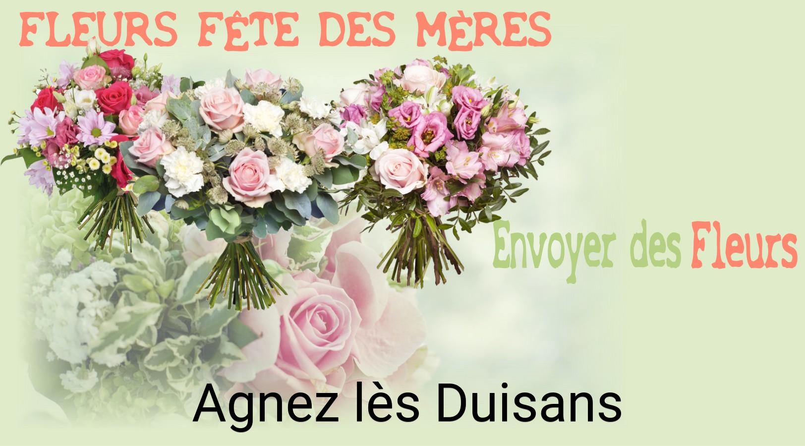 Bouquet de Fête des Mères livré à Agnez-lès-Duisans